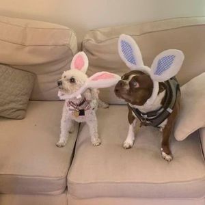 Meet your Posher, Cindy